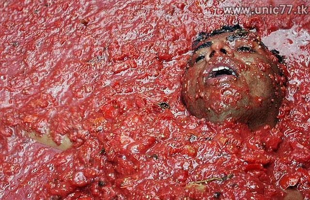 http://1.bp.blogspot.com/_-x7gqq9QJuA/TIMzvC2f35I/AAAAAAAASn0/iFum60QN-yQ/s1600/LaTomatina_food_fight_03.jpg