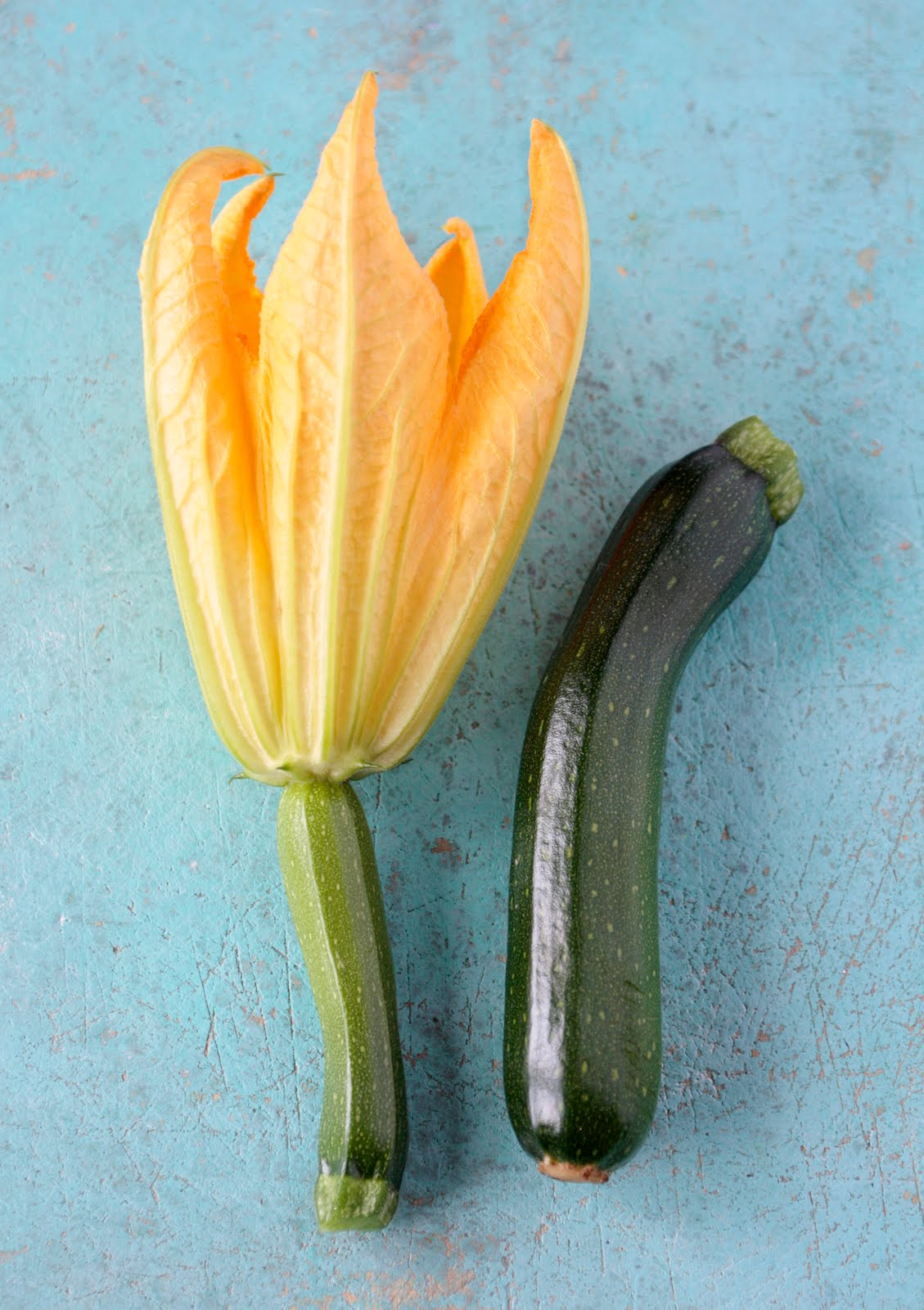 appledrane Baby courgettes