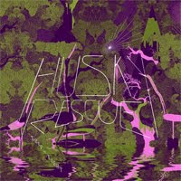 Husky Rescue - Ship of light Husky Rescue - Ship of light