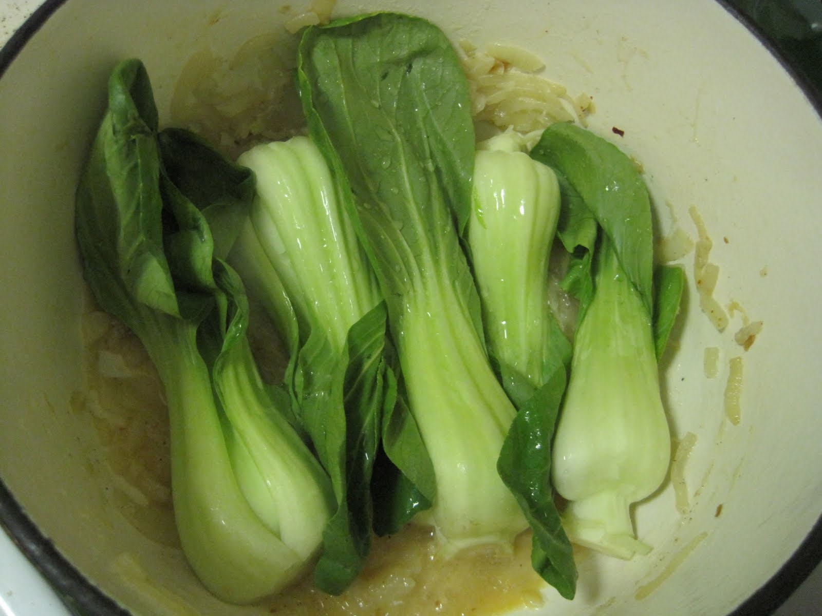 [PPE_onion+chicken+024.JPG]