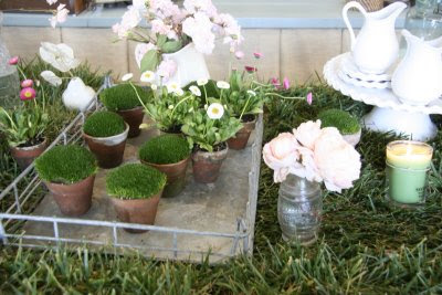 garden party with potted moss favors