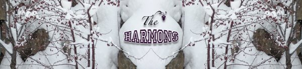 The Harmon Family