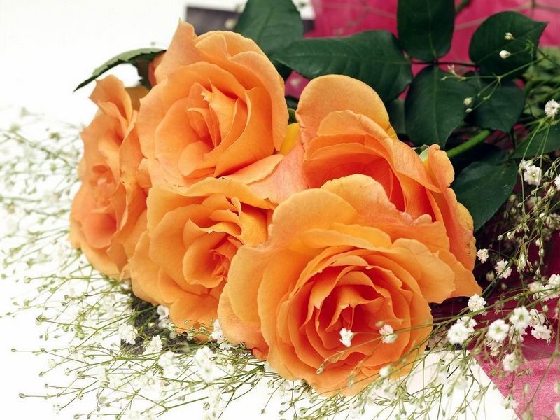 [ATgAAAADXqZiS88FosAK9xRtqQFuPNg21C_q2AApOCgRChwZ-CcfKuaHrHha_r7Rf6z_TQKmcK0-VhLGRU96QHnogVczAJtU9VAUa_ToosBfZTgWW3PLk13ljYuzWw.jpg]