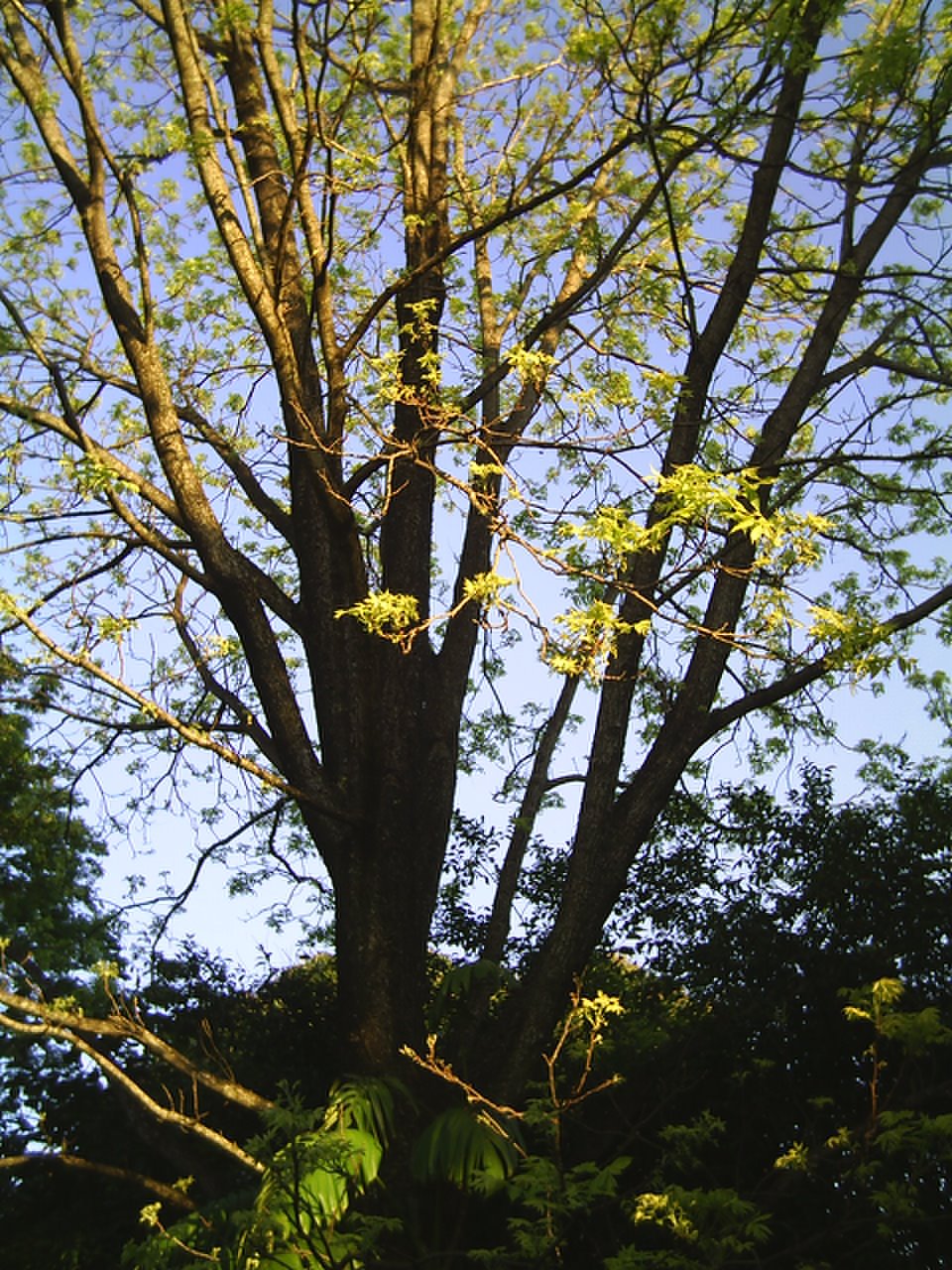 [PIC_0116.JPG]