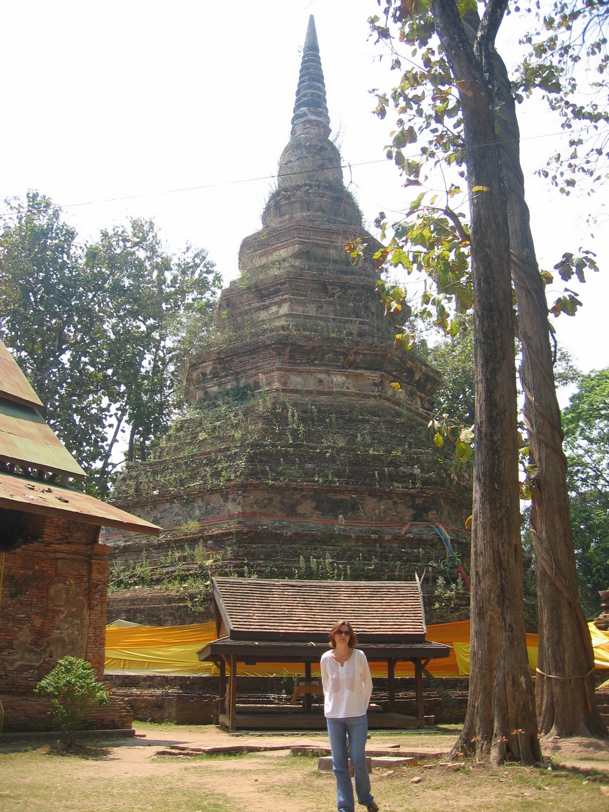 [IMG_0087.JPG]