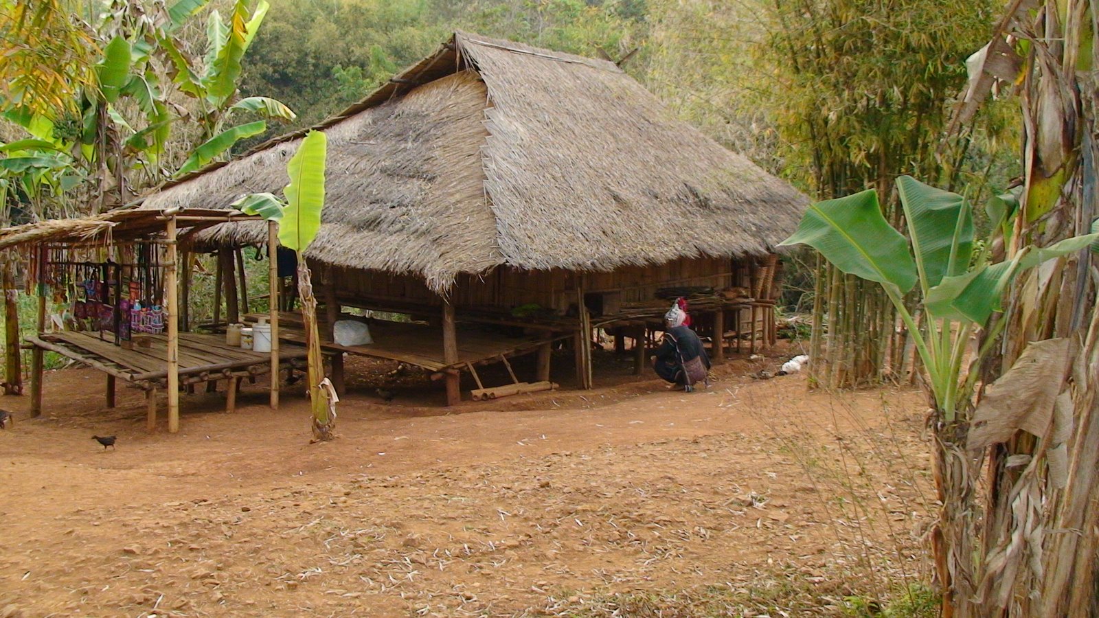 [DSC00637.JPG]