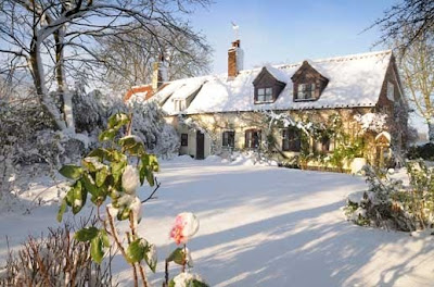 Cottage In Snow