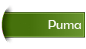 PulltabBrandPuma