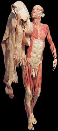 PERSONAL RESEARCH PROJECT: GUTHER VON HAGEN