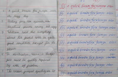 Sannu story essay example 06 image