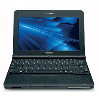Toshiba Mini Notebook NB255-N250