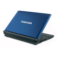 Toshiba Mini Notebook NB505-N508BL