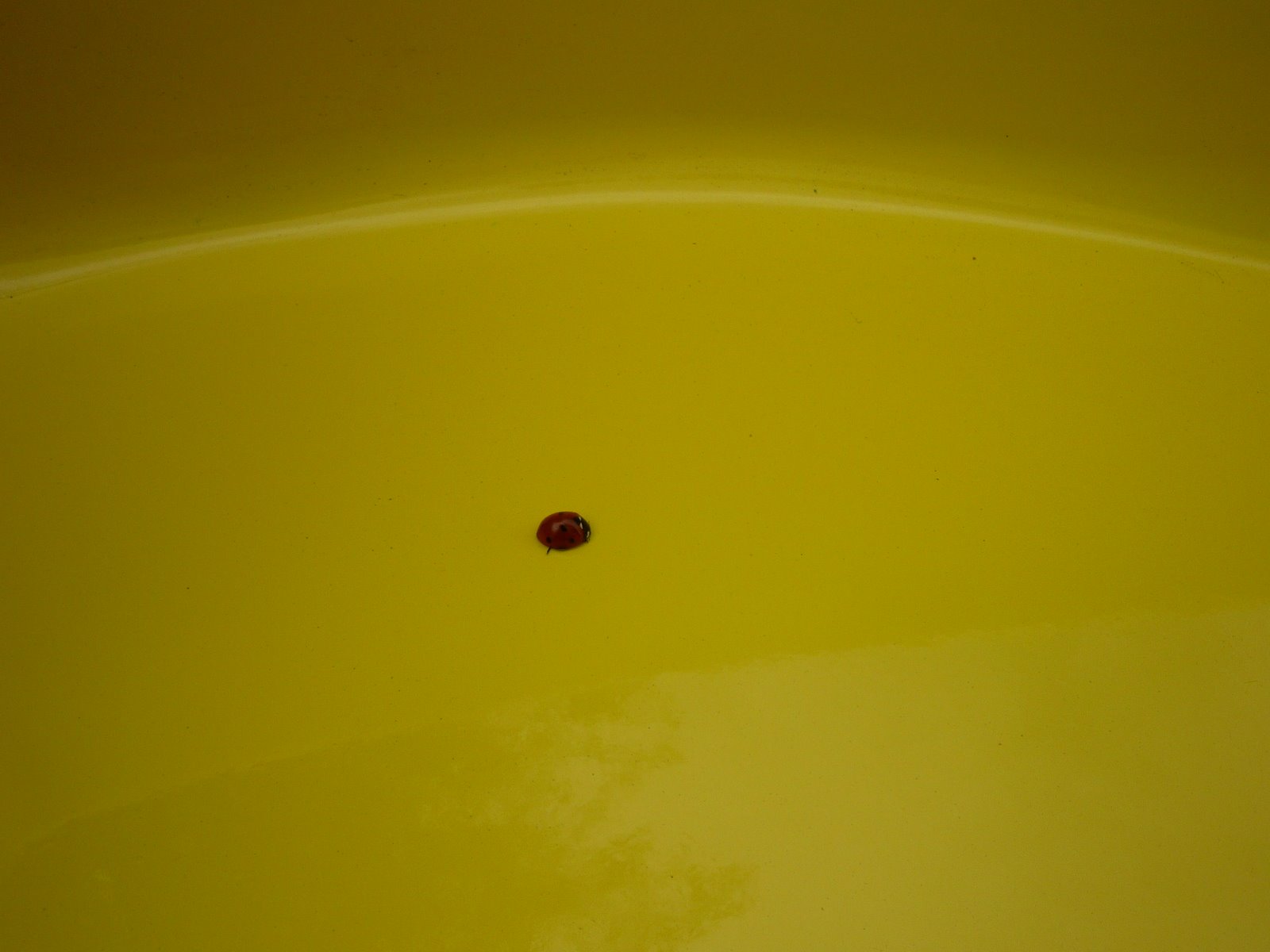 [P1000239.JPG]