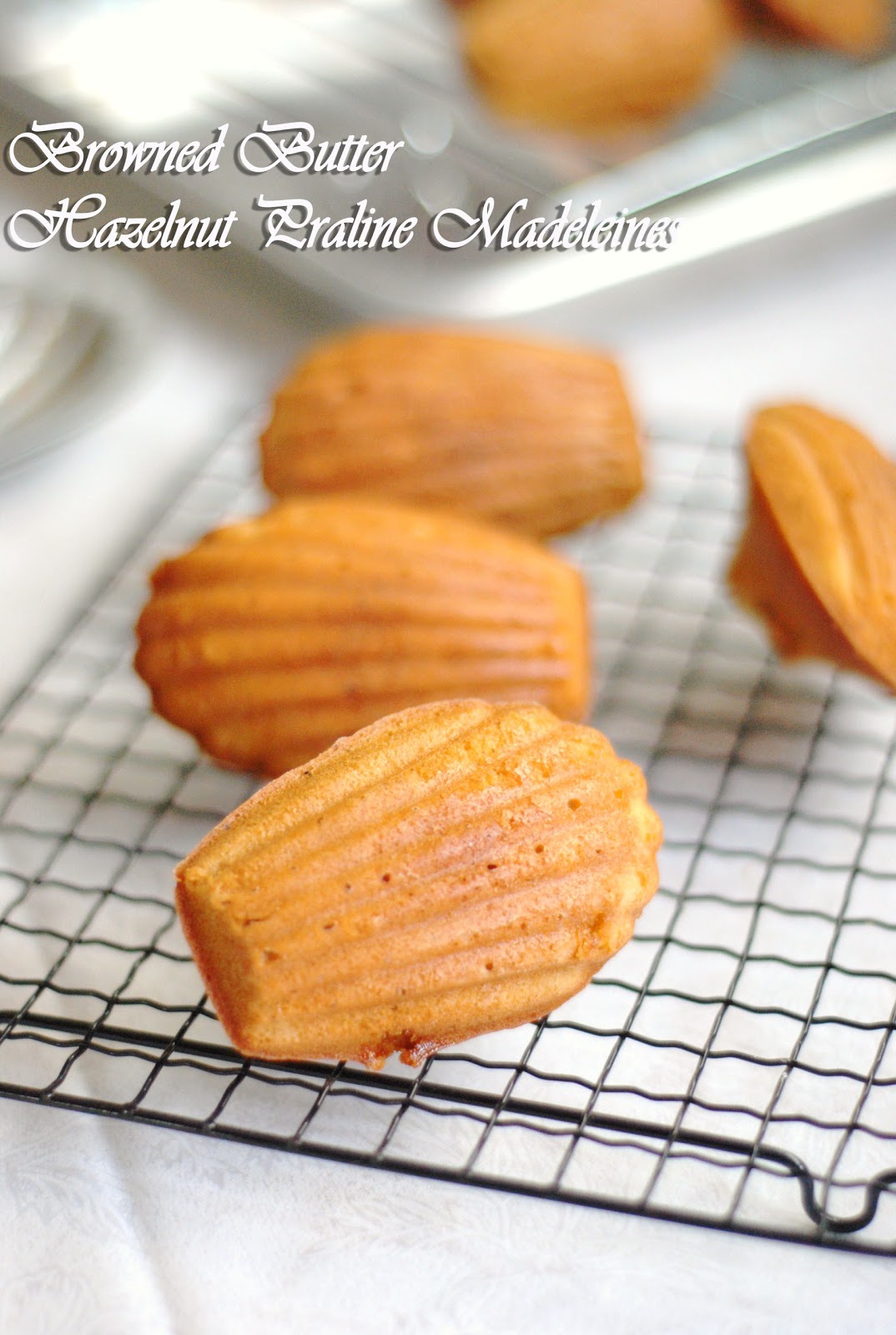 Sweets and Loves Browned Butter Hazelnut Praline Madeleines