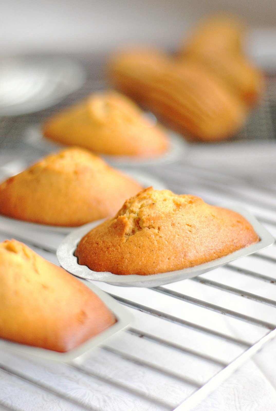 Sweets and Loves Browned Butter Hazelnut Praline Madeleines