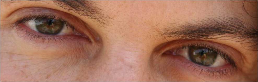 [olhos.jpg]