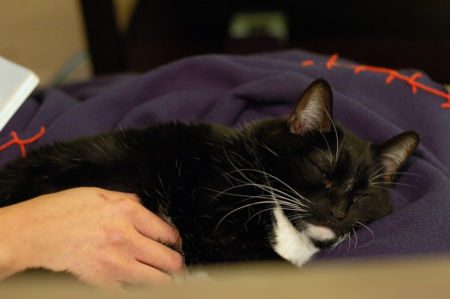 [DSC_0164-web.jpg]