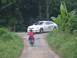 honda petak vs camry