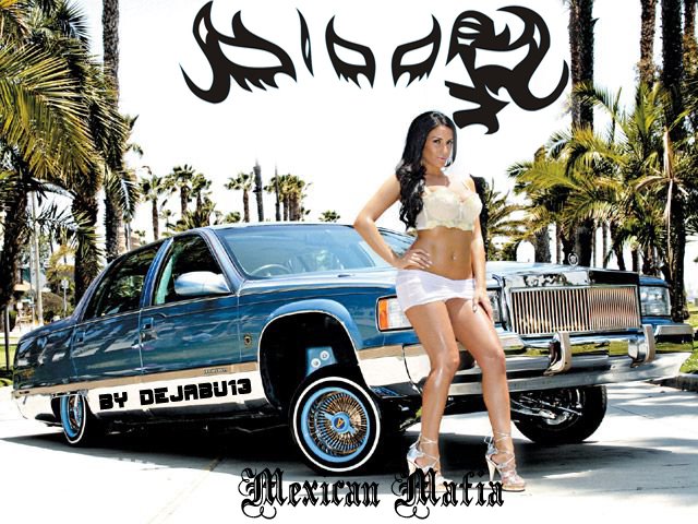 la mafia mexicana