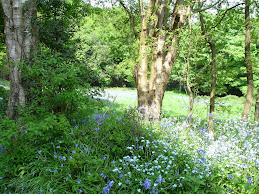 Grounds at Rednal