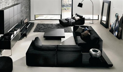 Contemporary Living Room black Furniture