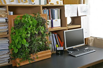 small verical gardens in office desk, Home Office