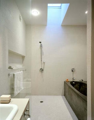 Fleming House Bathroom Design by Levitt Goodman Architects