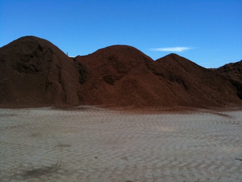 [Bark+Dunes.bmp]