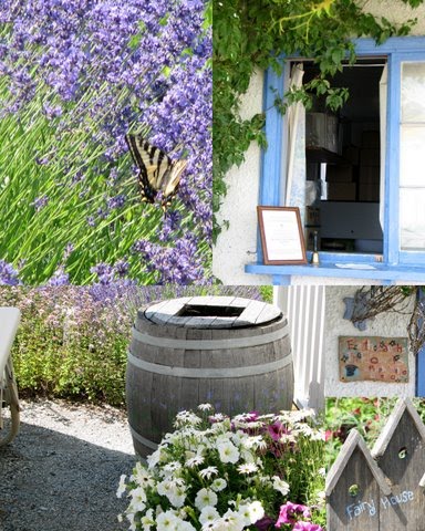 For 40 Years, This Russian Family Was Cut Off From All