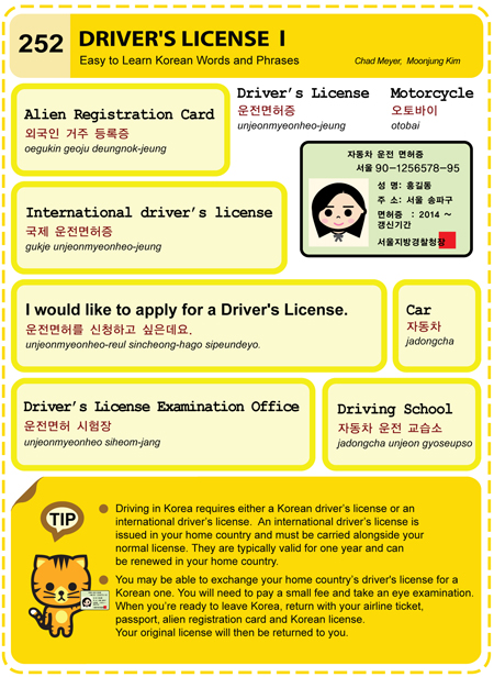 international driving license korea international driving license korea