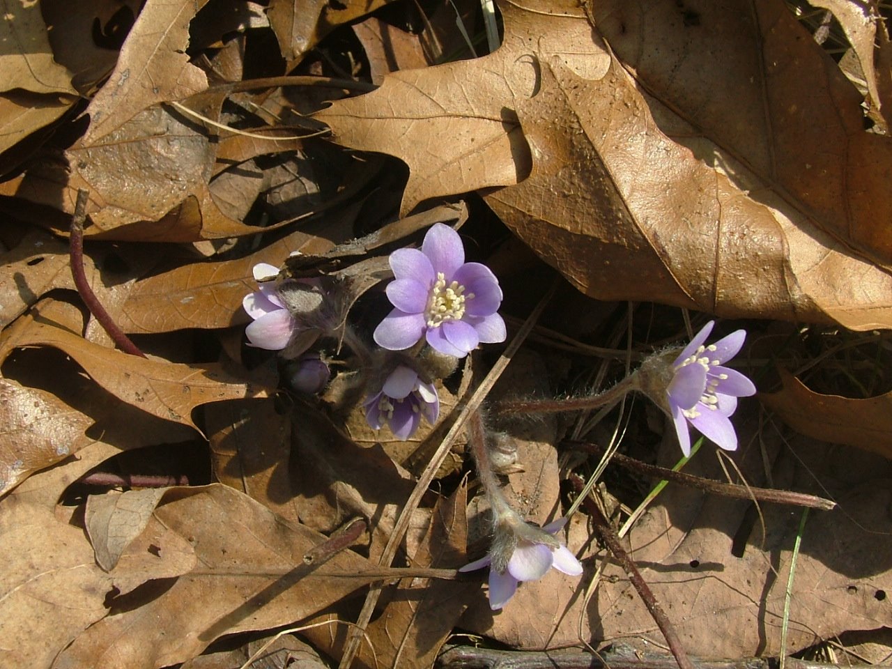 [DSCF6182.JPG]