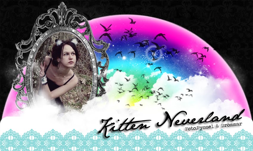 Kitten Neverland - Foto, Pyssel & Drömmar