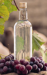 [PISCO.JPG]