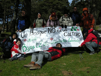 UN BOSQUE NO ES UN CULTIVO