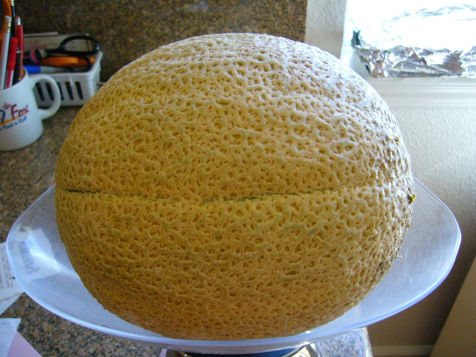 Sacramento Vegetable Gardening The Sweetest Melon...