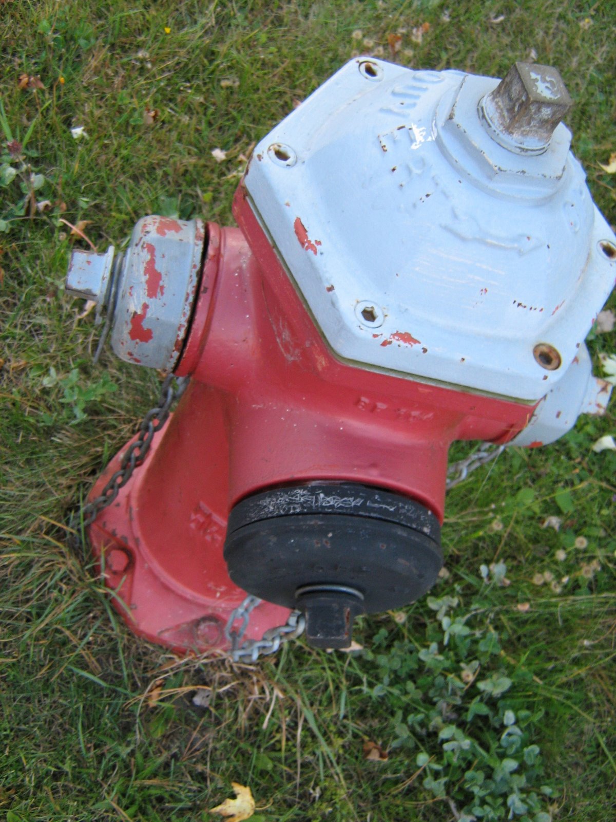 [cute+fire+hydrant.jpg]