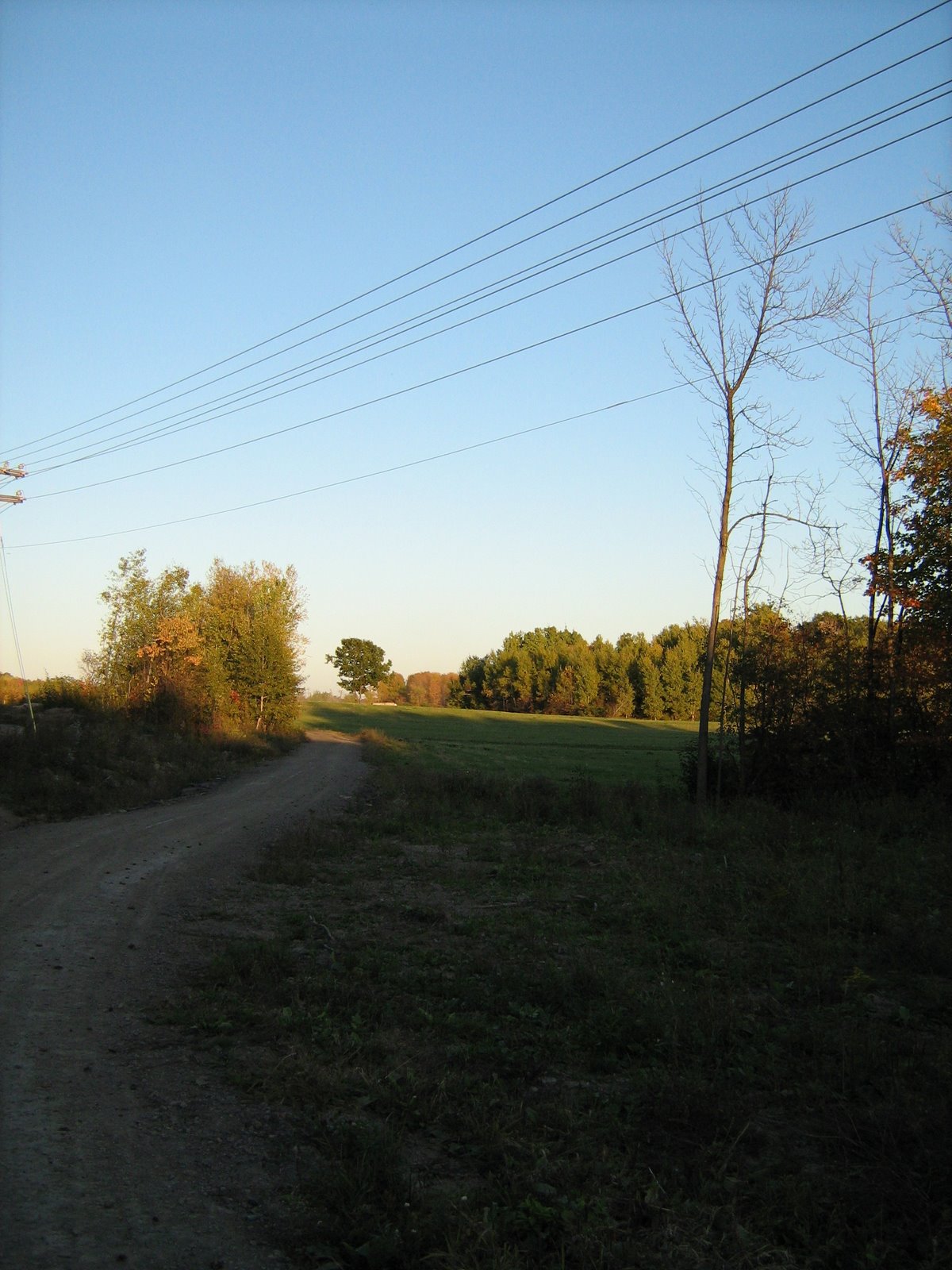 [farm+roads.jpg]