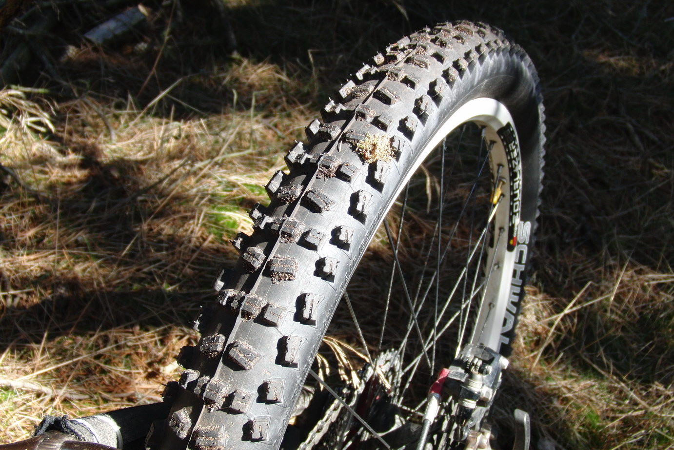schwalbe fat albert review