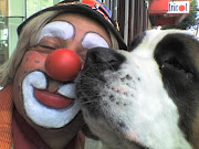 YO AMO A LOS ANIMALES