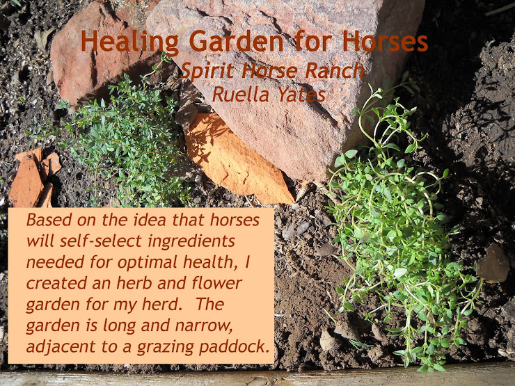 Healing Garden for Horses Healing Herb and Flower Garden