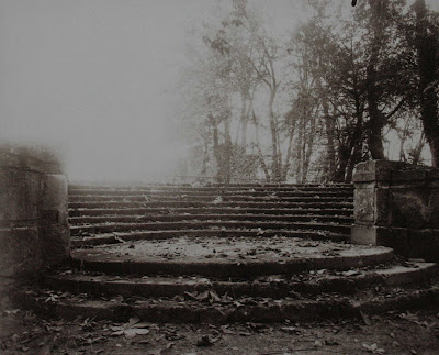 Flicker Janvier 2008