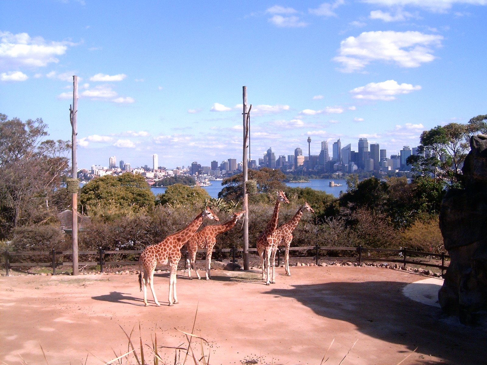 [australia+2008+111.JPG]