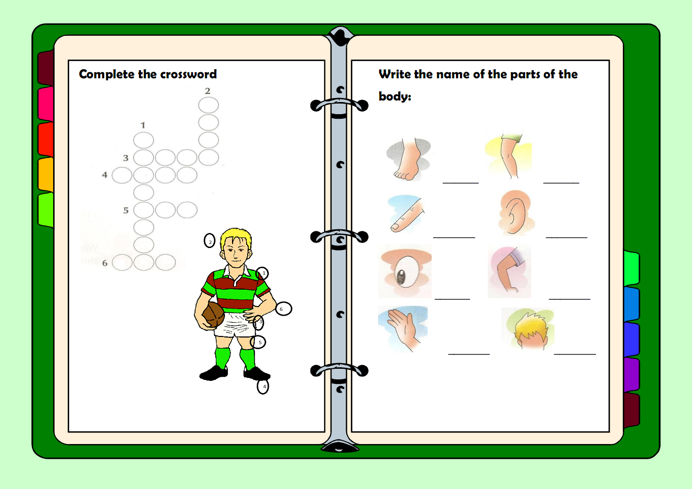 My English Classes Parts of the Body