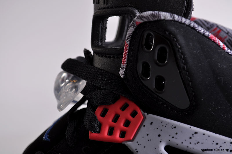 [spiz.jpg]