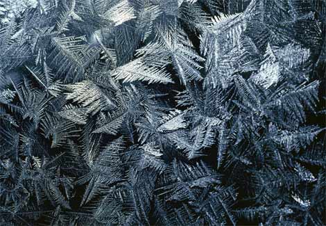 JACK FROST