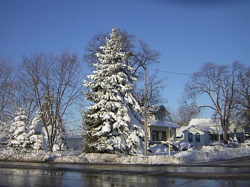 [20060121snow.jpg]