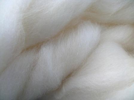 [wool+top.JPG]