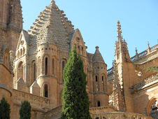 Catredal de Salamanca