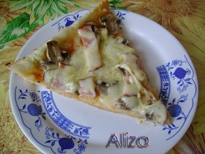 AnDrEi_WebKinz Pizzza+cu+ciuperci2