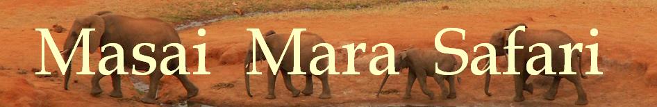 [50+Masai+Mara.JPG]
